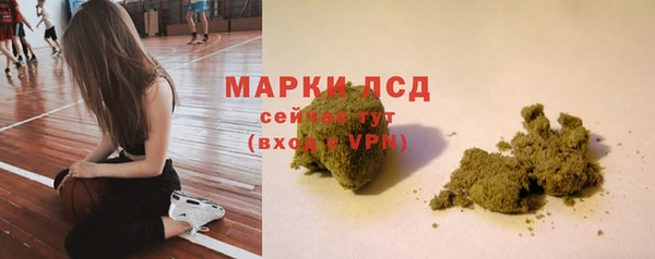 гидра Алзамай
