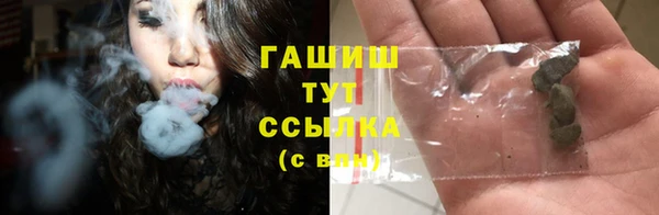 гидра Алексин