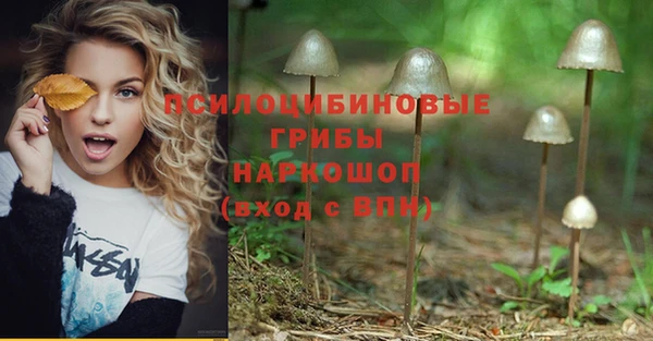 гидра Алексин