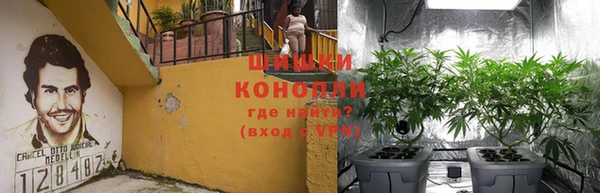 гидра Алзамай